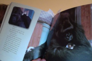 Photo on 25-03-2013 at 21.57 #3