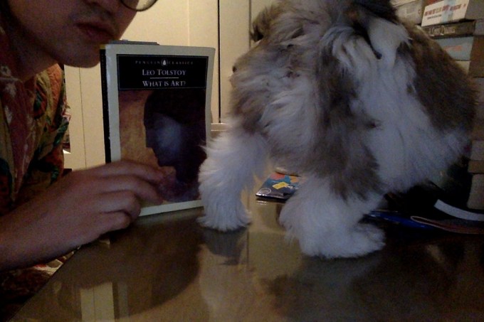 Photo on 12-02-2016 at 10.59.jpg