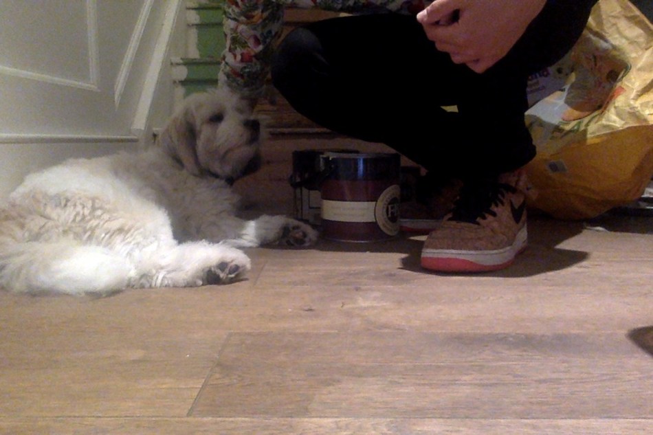 Photo on 02-09-2016 at 18.52.jpg