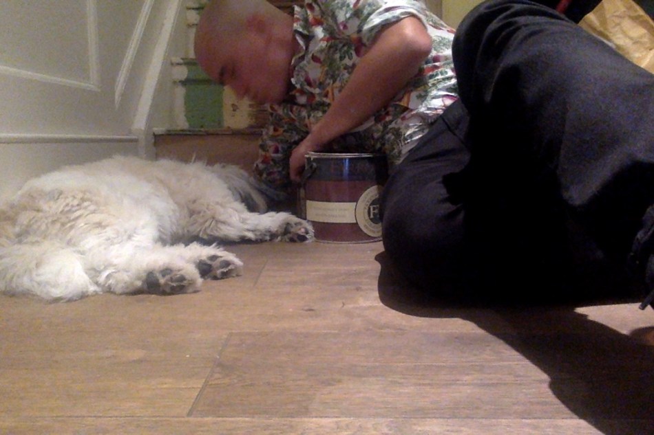 Photo on 02-09-2016 at 18.53 #2.jpg