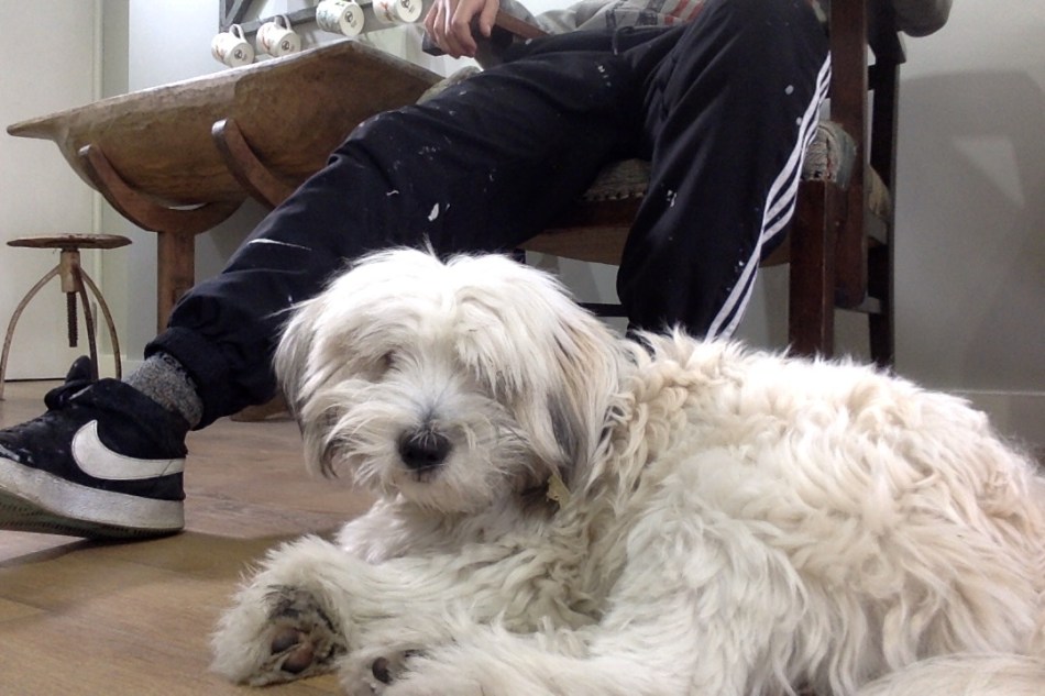 photo-on-12-10-2016-at-11-37-2